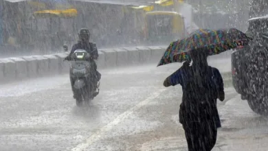 വരും ദിവസങ്ങളിൽ വടക്കൻ കേരളത്തിൽ കൂടുതൽ മഴയ്ക്ക് സാധ്യത; ഇന്ന് രണ്ട് ജില്ലകളിൽ യെല്ലോ അലർട്ട്