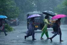 വടക്കൻ കേരളത്തിൽ ഒറ്റപ്പെട്ട ശക്തമായ മഴയ്ക്ക് സാധ്യത; രണ്ട് ജില്ലകളിൽ യെല്ലോ അലർട്ട്