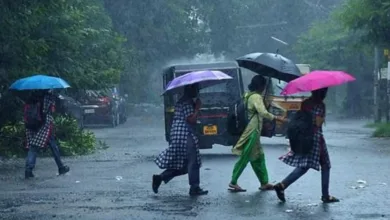 വടക്കൻ കേരളത്തിൽ ഒറ്റപ്പെട്ട ശക്തമായ മഴയ്ക്ക് സാധ്യത; രണ്ട് ജില്ലകളിൽ യെല്ലോ അലർട്ട്