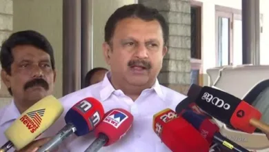 കലങ്ങിയില്ലെന്ന് പറയാന്‍ പിണറായി പൂരം കണ്ടിട്ടുണ്ടോ..?; രൂക്ഷ വിമര്‍ശനവുമായി കെ മുരളീധരന്‍