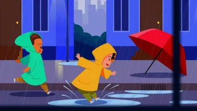 മഴ: എറണാകുളം ജില്ലയിൽ നാളെ അവധി