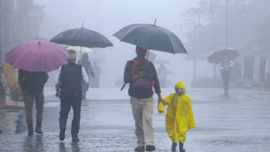 അടുത്ത 2 മണിക്കൂറിൽ‌ 5 ജില്ലകളിൽ മഴയെത്തും; മുന്നറിയിപ്പുമായി കാലാവസ്ഥാ വകുപ്പ്
